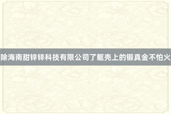 除海南甜锌锌科技有限公司了躯壳上的锻真金不怕火