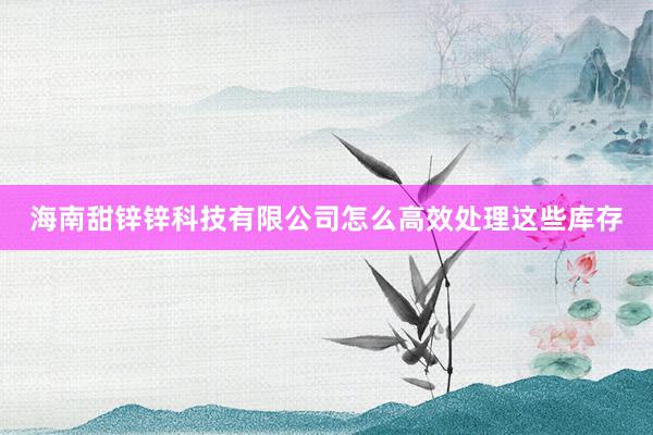 海南甜锌锌科技有限公司怎么高效处理这些库存