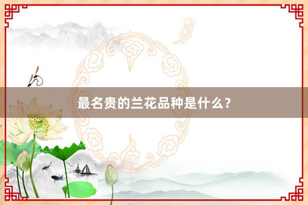 最名贵的兰花品种是什么？